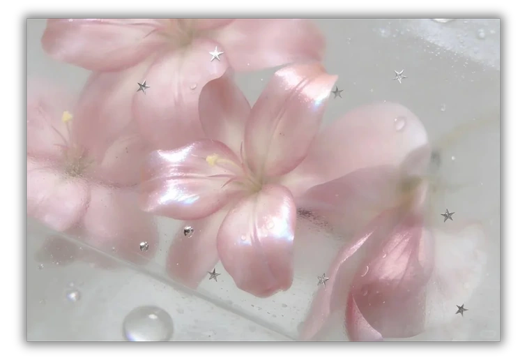 粉色花朵视觉作品