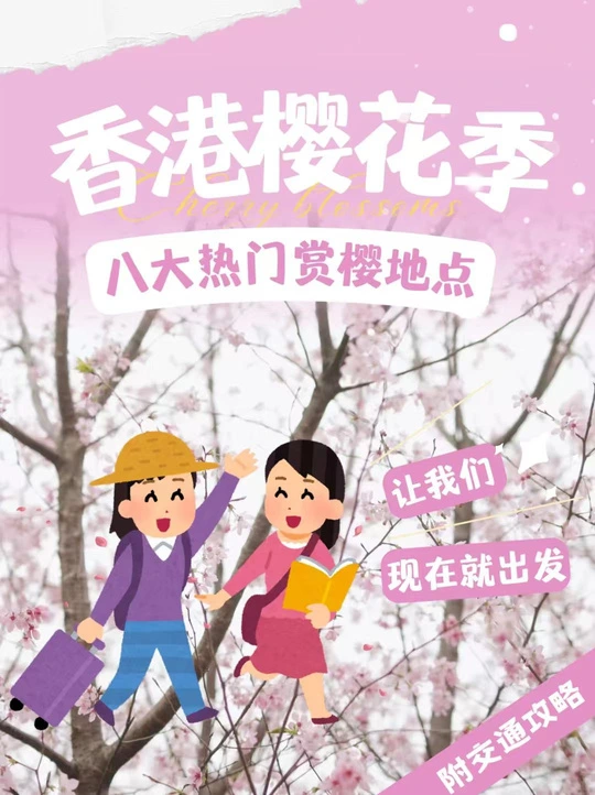 香港樱花季活动封面设计